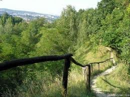 images (40)