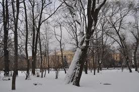 images (7)
