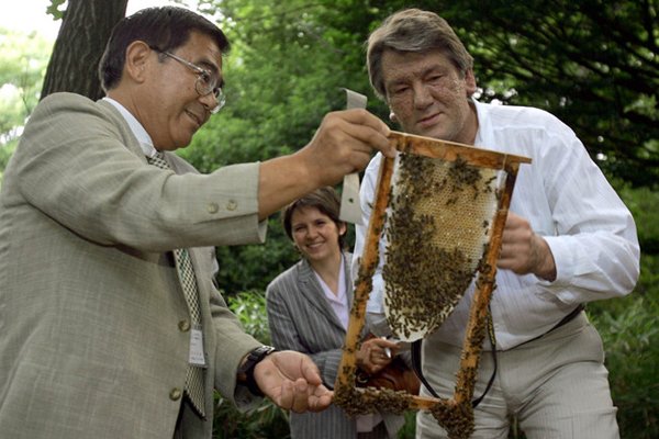 ющенко ющенко