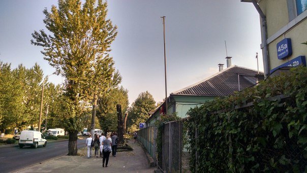 На проспекті Чорновола зріжуть здорові дерева (ФОТО) (фото) - фото 2