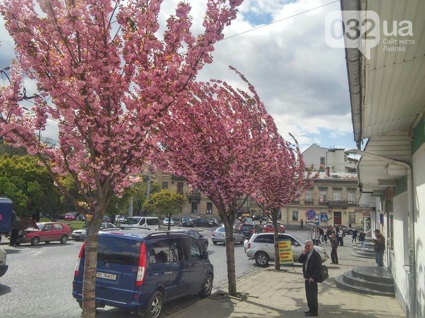 Що робити у Львові на вихідних? 032.ua рекомендує (фото) - фото 6