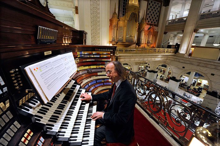 organ2