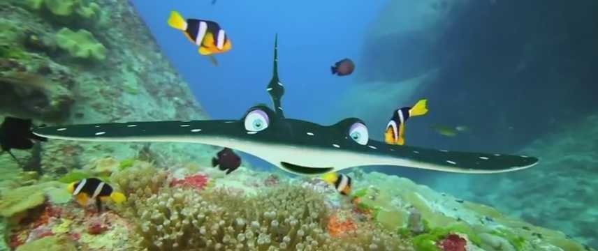 Ribki__ribyachі_іstorії_20170 Ribki__ribyachі_іstorії_20170