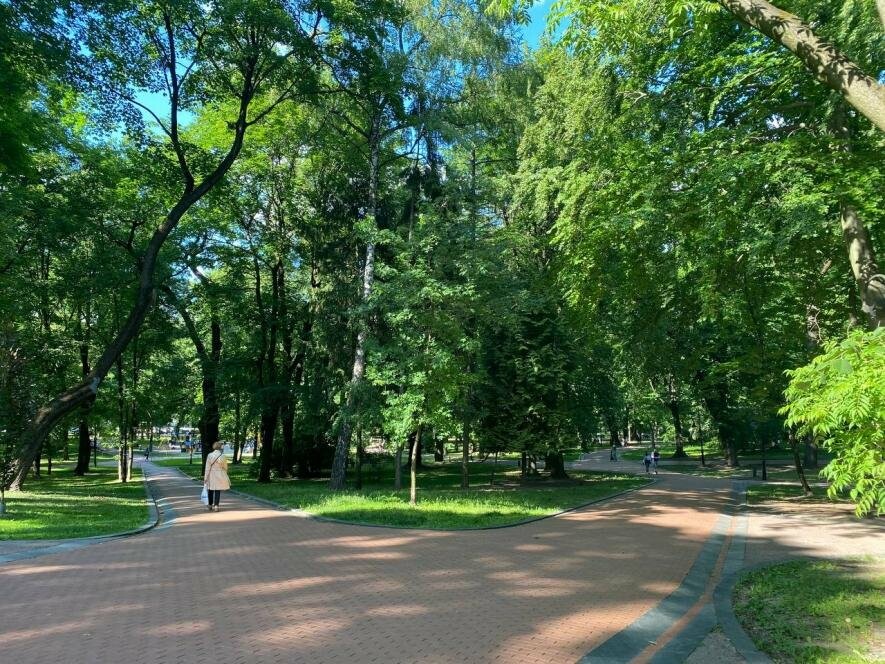 Як минула доба на Львівщині: головне станом на ранок 4 липня 