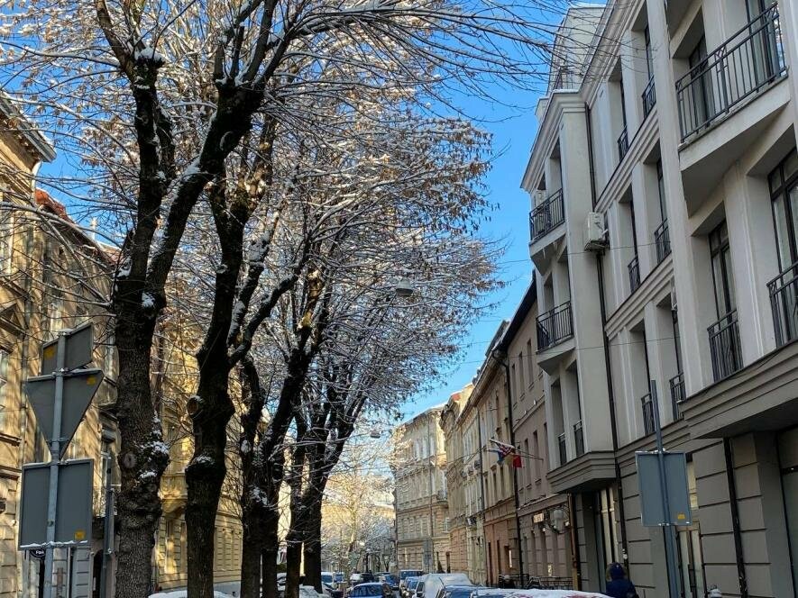 Яку погоду у Львові синоптики прогнозують 4 грудня 