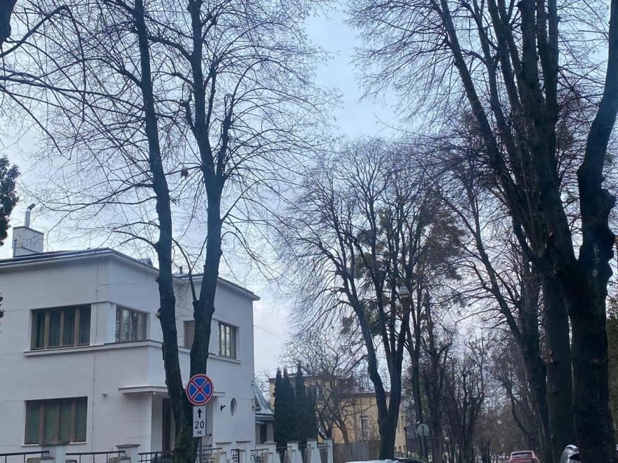 Яку погоду прогнозують у Львові синоптики до кінця тижня 
