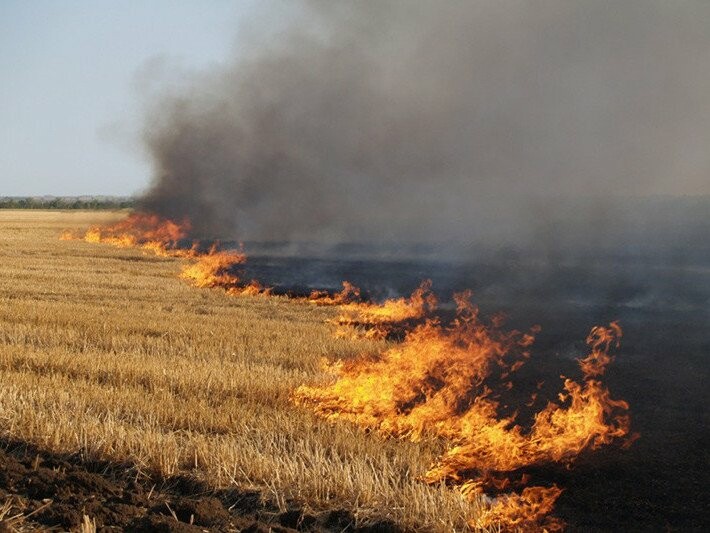 Вперше в Україні мешканець Львівщини заплатить 130 тисяч грн штрафу за паління трави 