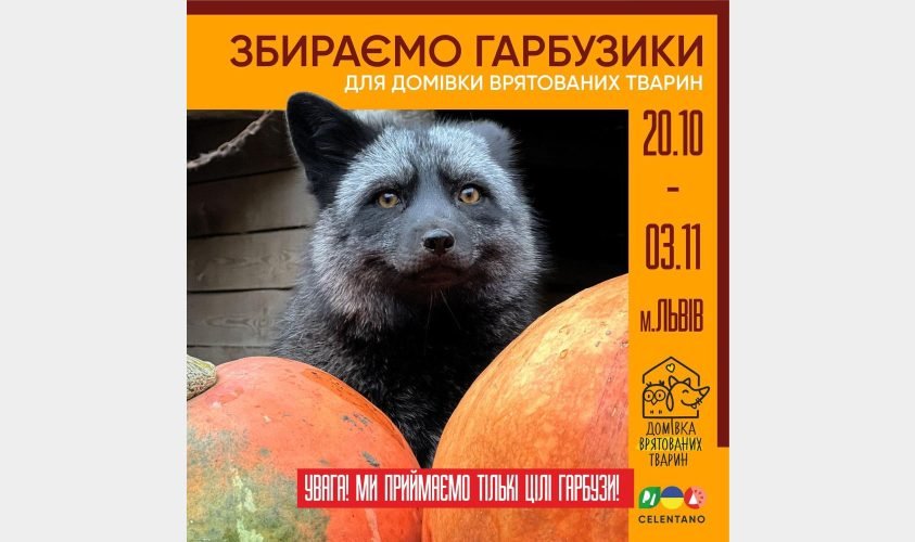 У Львові збирають гарбузи для Домівки врятованих тварин
