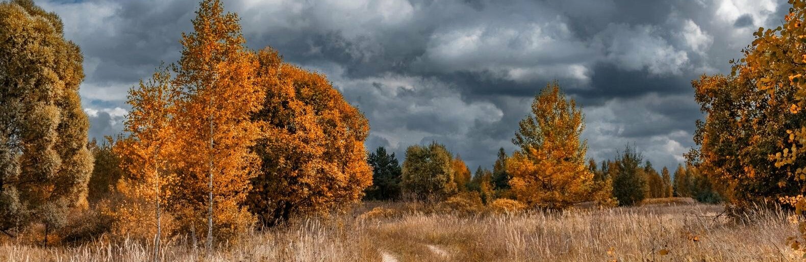 Завтра у Львові погода буде хмарною