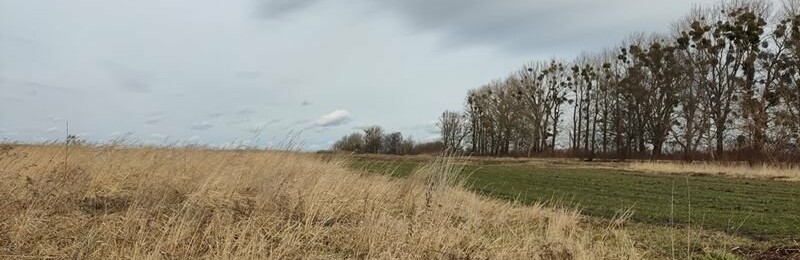 Біля Львова продали дві земельні ділянки під комерцію