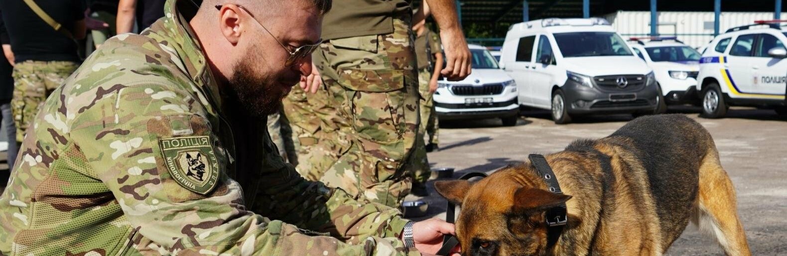 На Львівщину прибули 20 собак від 