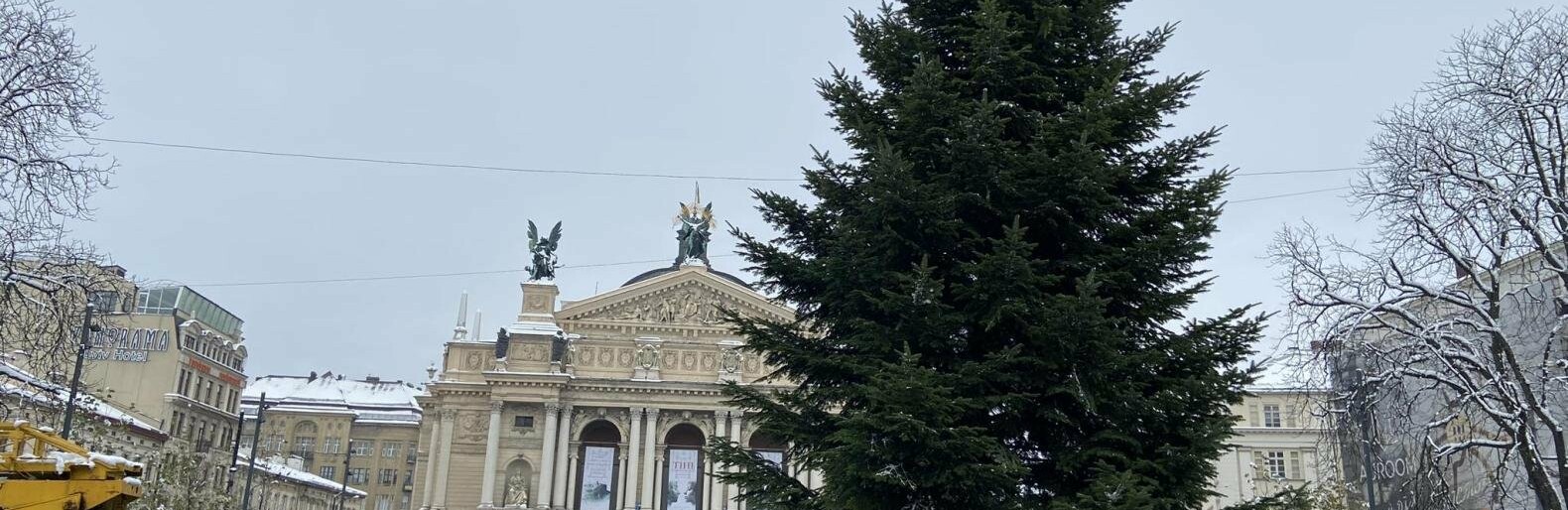 У Львові біля Оперного театру вже встановили різдвяну ялинку