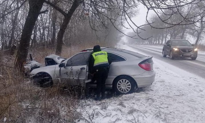 На Львівщині «Мерседес» загальмував о дерево, постраждали жінка з дитиною та немовля, - ФОТО