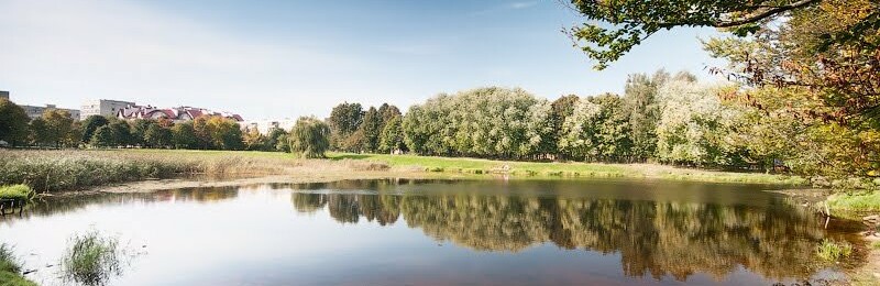 День чистих берегів: львів'ян закликають долучитися до прибирання міських водойм