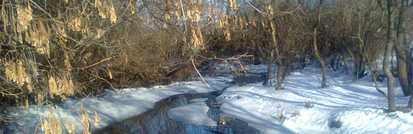 Завтра у Львові буде тепло та дощитиме