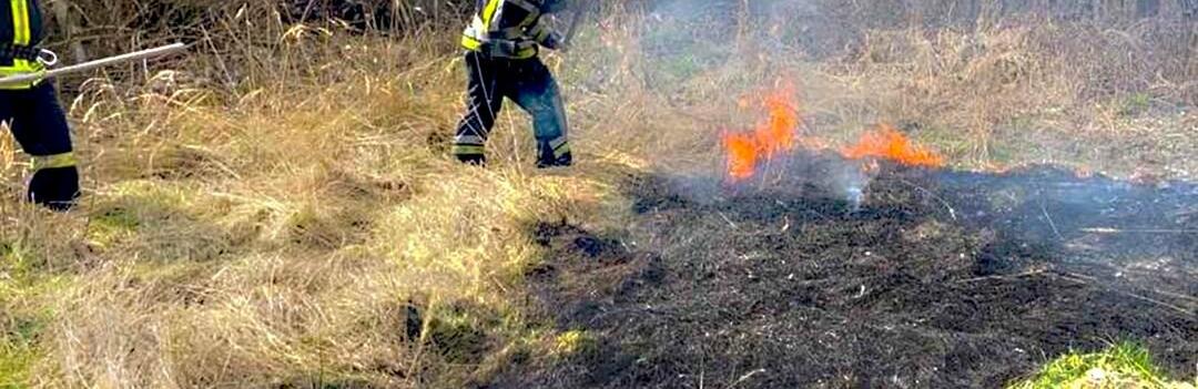 За добу рятувальники на Львівщині ліквідували 9 пожеж сухостою