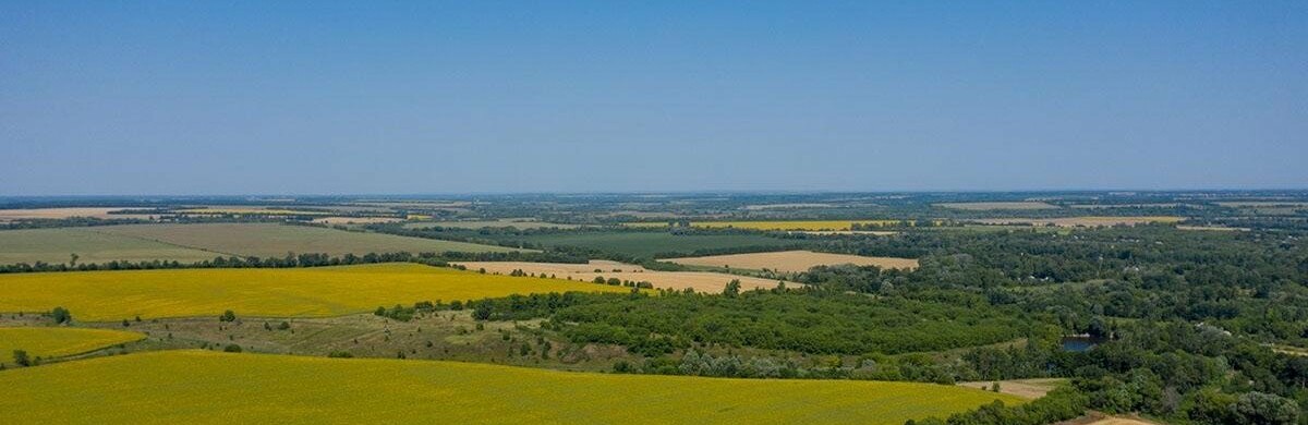 Львівська ОВА повідомила, які земельні ділянки виставлено на електронні торги