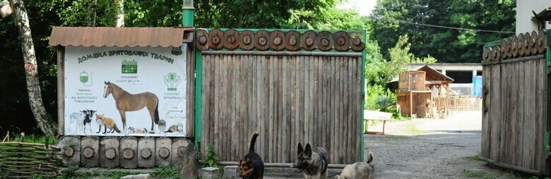 Працівники Домівки врятованих тварин у Львові показали, як рятували тварин з військової бази, - ВІДЕО