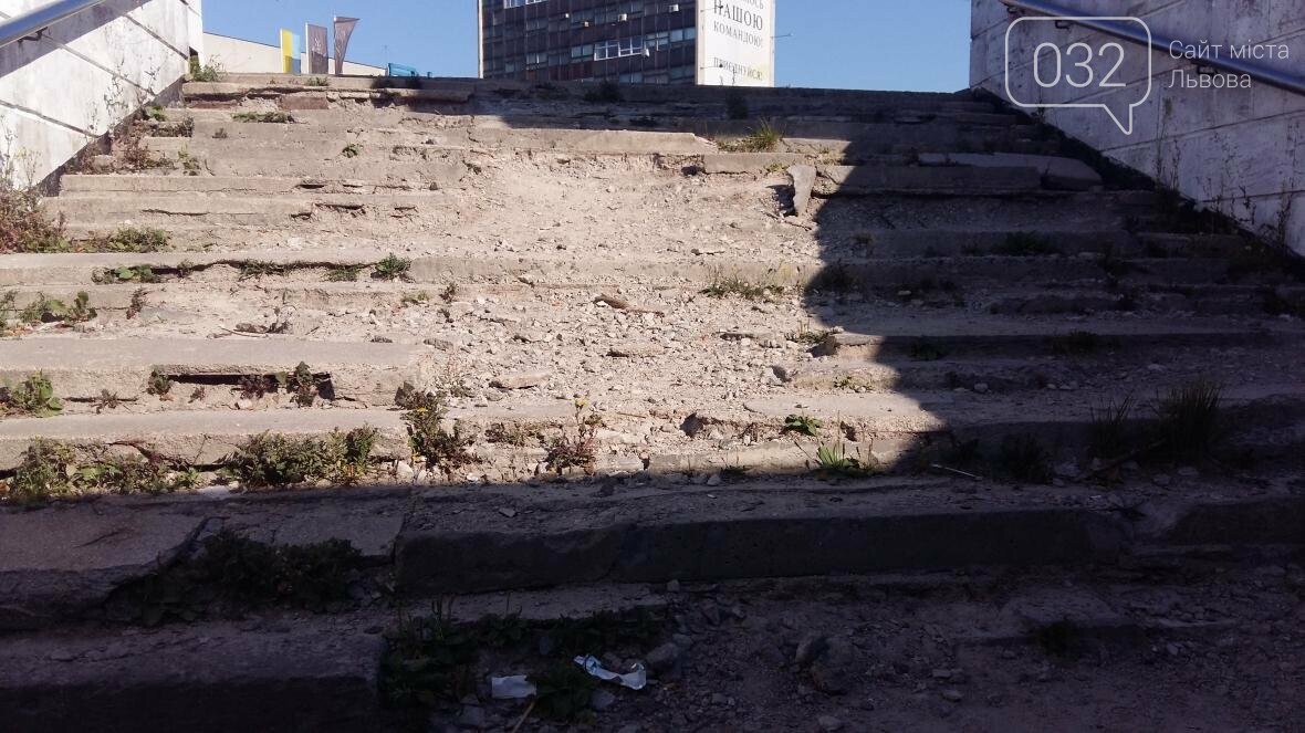 Фото: Андрій Галицький/032.ua