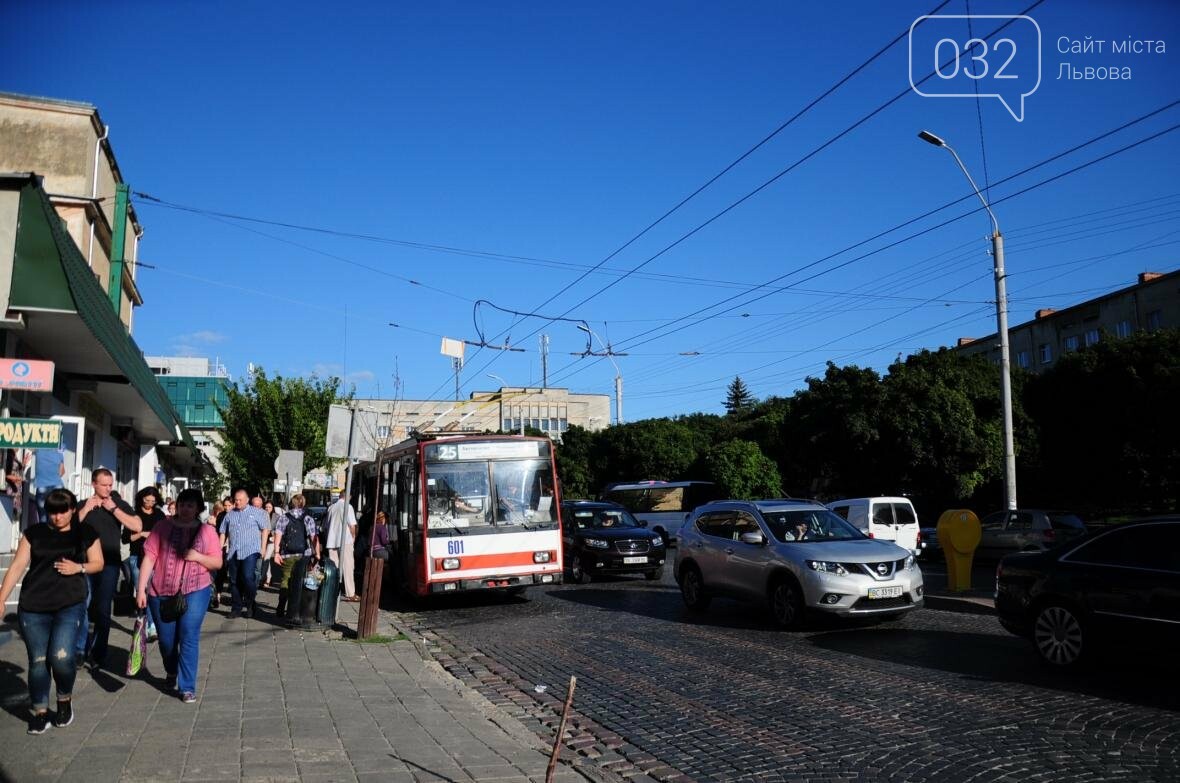 «Залізний» ліс Львова. Снопків, фото-1 «Залізний» ліс Львова. Снопків, фото-1