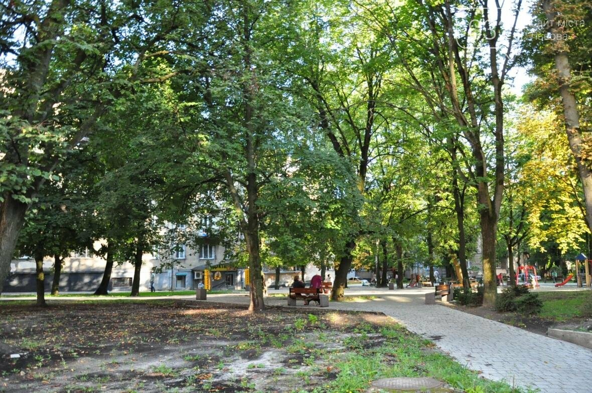 «Залізний» ліс Львова. Снопків, фото-24 «Залізний» ліс Львова. Снопків, фото-24