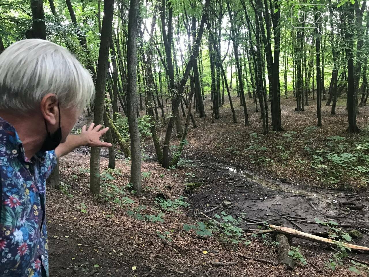 Прогулянка "Горіховим гаєм": екскурсія мальовничими місцями парку, - ФОТО, фото-15