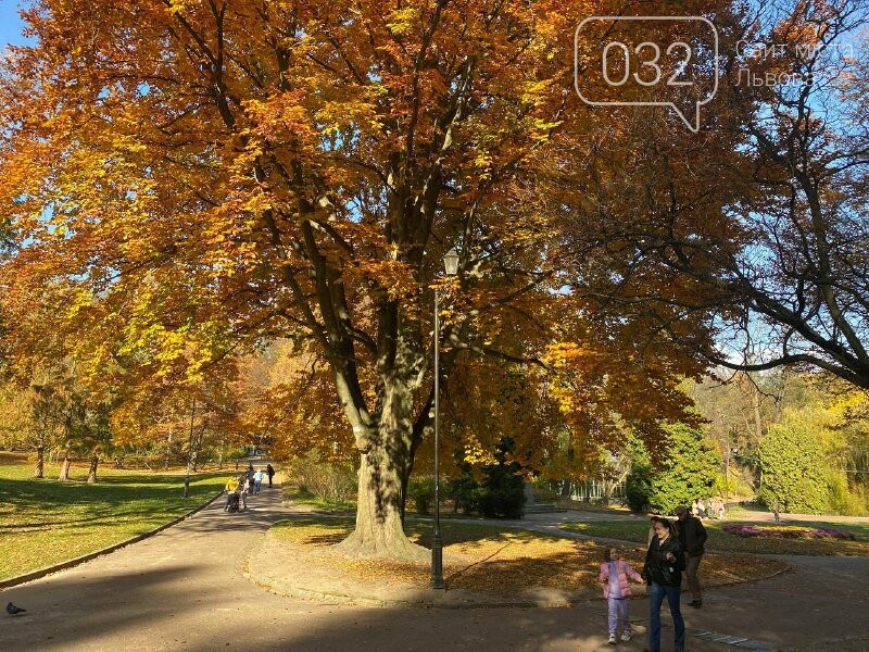 Стрийський парк, Фото: 032.ua