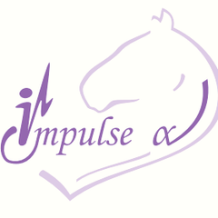 Спортивний клуб Impuls Alfa