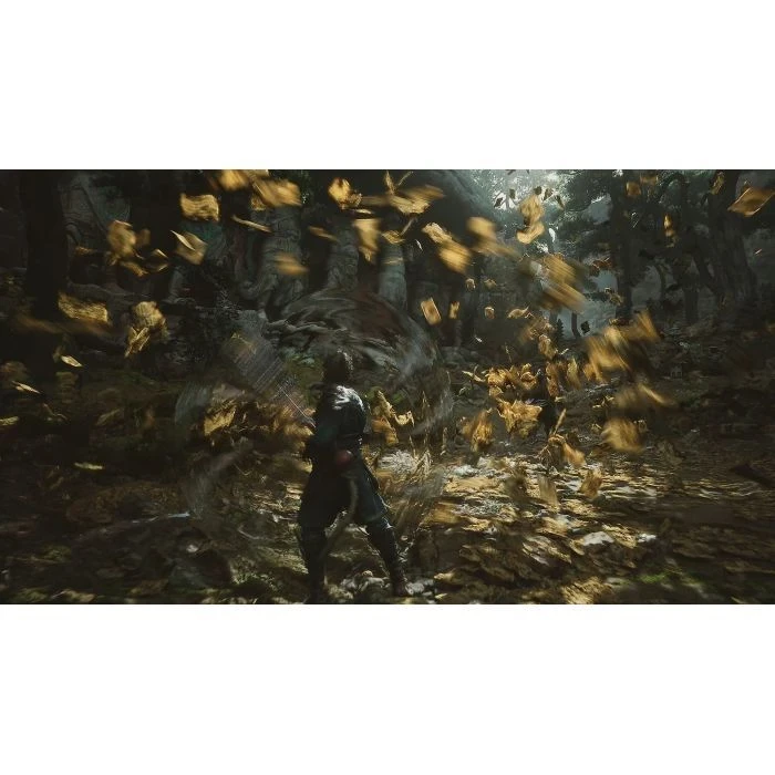 Sony Black Myth: Wukong, BD диск (5056635611864) (UA) - Зображення 4