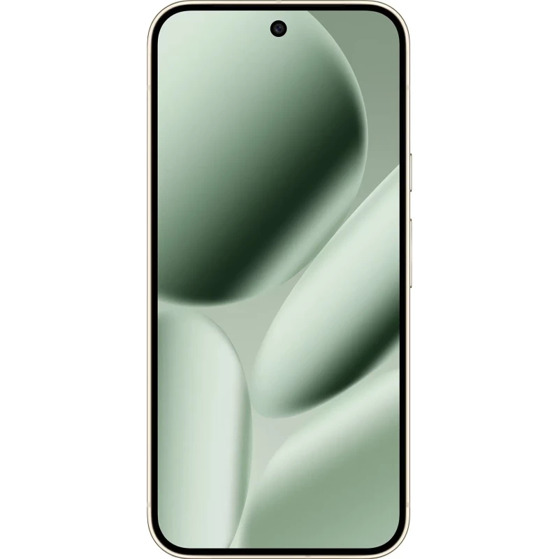 Google Pixel 10 Pro XL 16/256GB Jade (eSIM) (GA10432-US) - Зображення 1