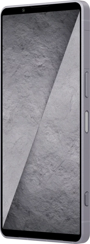Sony Xperia 1 VIII XQ-GE74 12/512GB Iolite Silver - Зображення 3