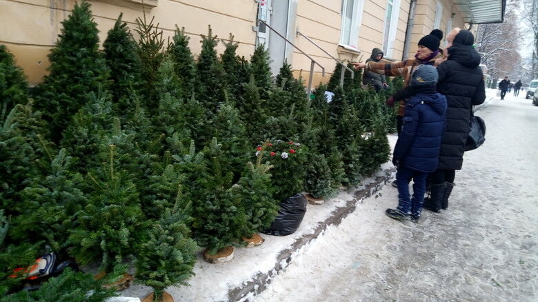 ставят ли елку на кладбище. ставят ли елку на кладбище. украшение новогодней ёлки во дворе. могила с цветами. елка на кладбище на новый год.