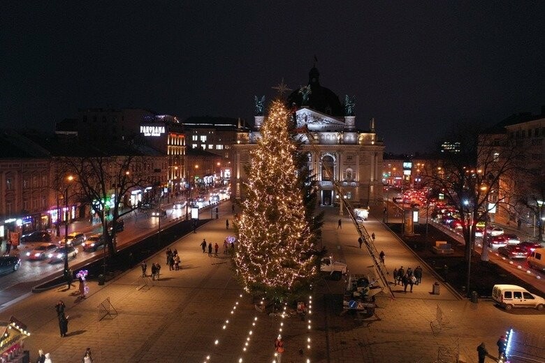 Фото львов 2021