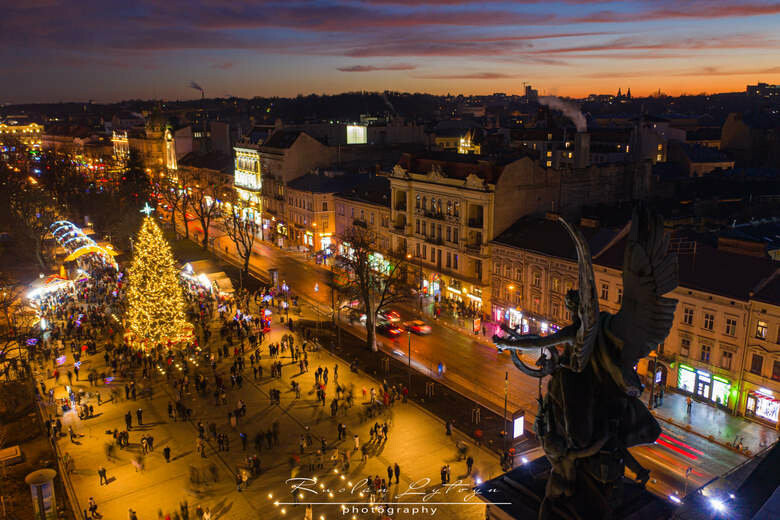 Фото львов 2021