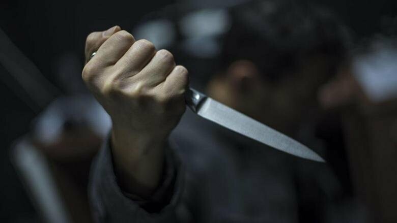 У поліції розповіли, чому хлопець вбив 19-річну студентку у Львові, - ВІДЕО