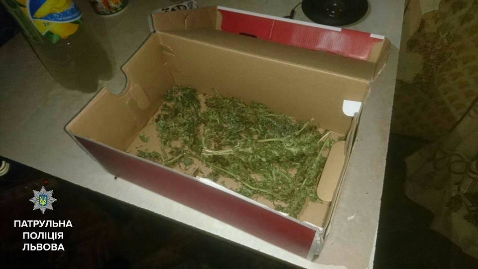 Всі фото: прес-служба патрульної поліції Львова