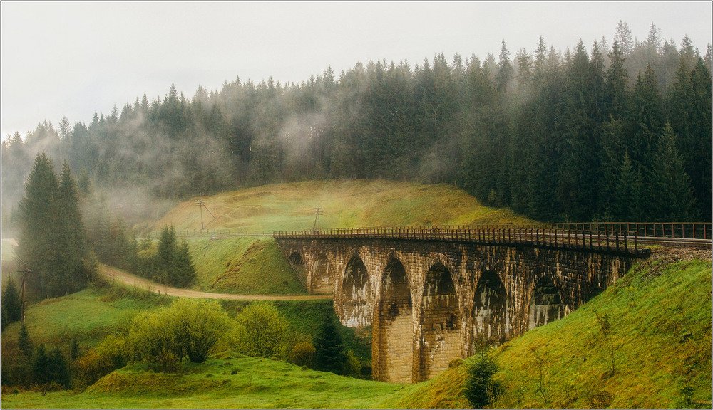 Фото: Анаотлій Рудченко/photographers.ua