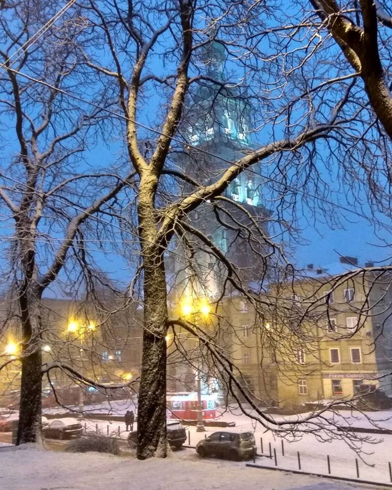 15 фото, які доводять, що зимовий Львів прекрасний, фото-1 15 фото, які доводять, що зимовий Львів прекрасний, фото-1, Фото: Yura Martynovych/Facebook.com