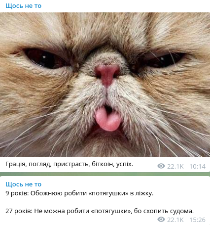 10 корисних Telegram-каналів, на які варто підписатися льв..., фото-3 10 корисних Telegram-каналів, на які варто підписатися львів'янам, фото-3