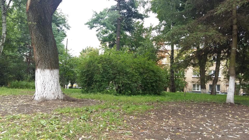 Фото: Параска Дворянин Фото: Параска Дворянин