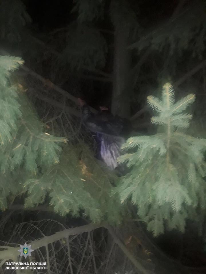 Фото: патрульна поліція Львівщини
