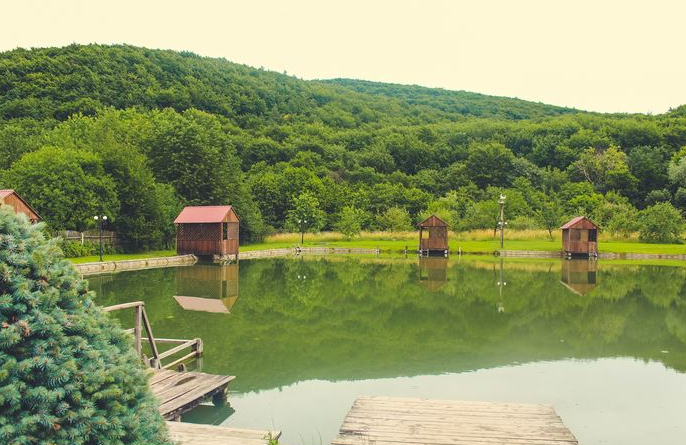 Де орендувати альтанку біля Львова і посмажити шашлики, -..., фото-3 Де орендувати альтанку біля Львова і посмажити шашлики, - ЦІНИ, фото-3