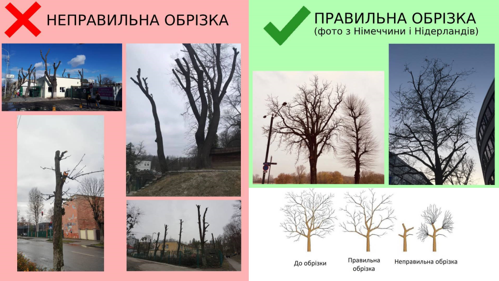ТОП-5 петицій львів’ян, які підтримало місто, фото-2 ТОП-5 петицій львів’ян, які підтримало місто, фото-2