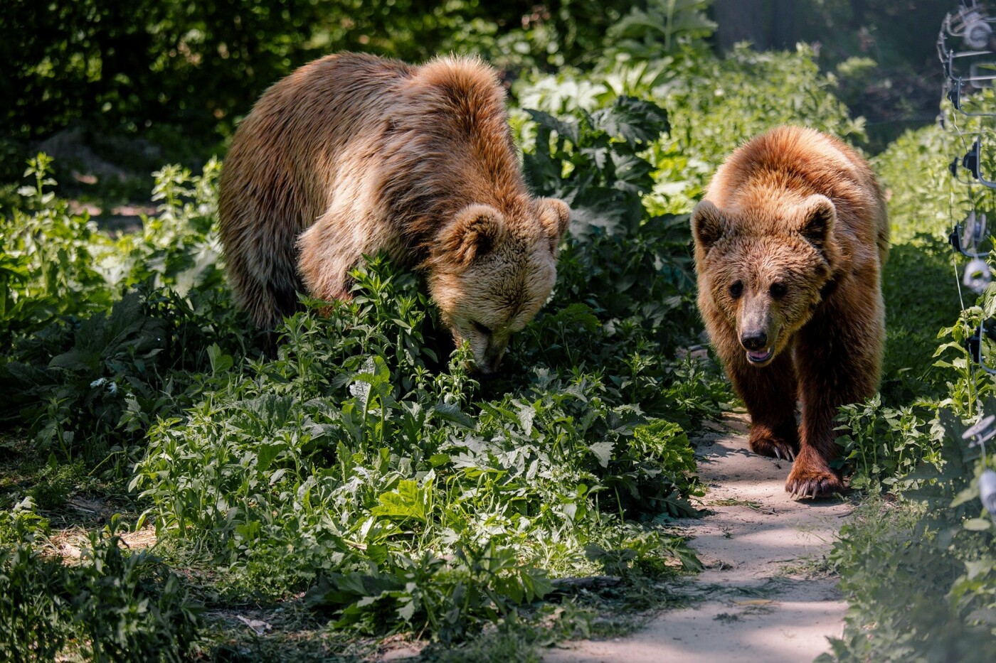День Незалежності у Львові: куди піти і що подивитися, фото-6 День Незалежності у Львові: куди піти і що подивитися, фото-6