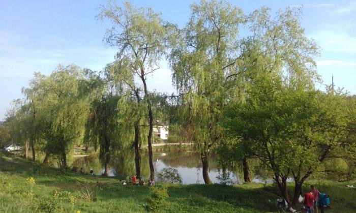 Став Стосіка/фото з відкритих джерел