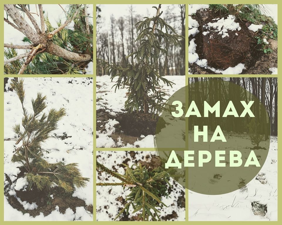 Фото: ялинки / Парк культури, фейсбук