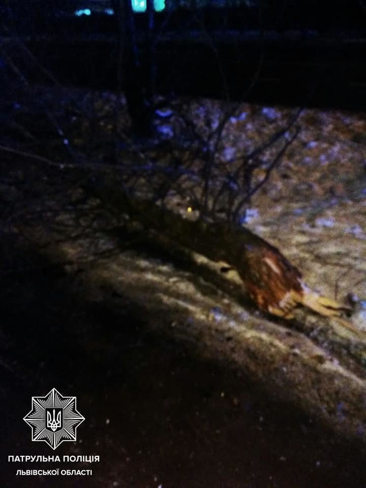 ДТП на Липинського, патрульна поліція