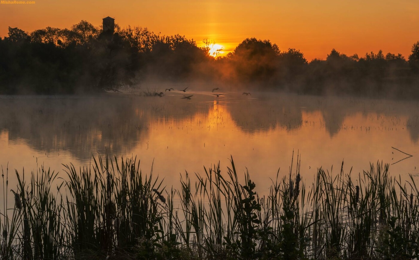 Фото: Львівська область / Михайло Реманюк Фото: Львівська область / Михайло Реманюк