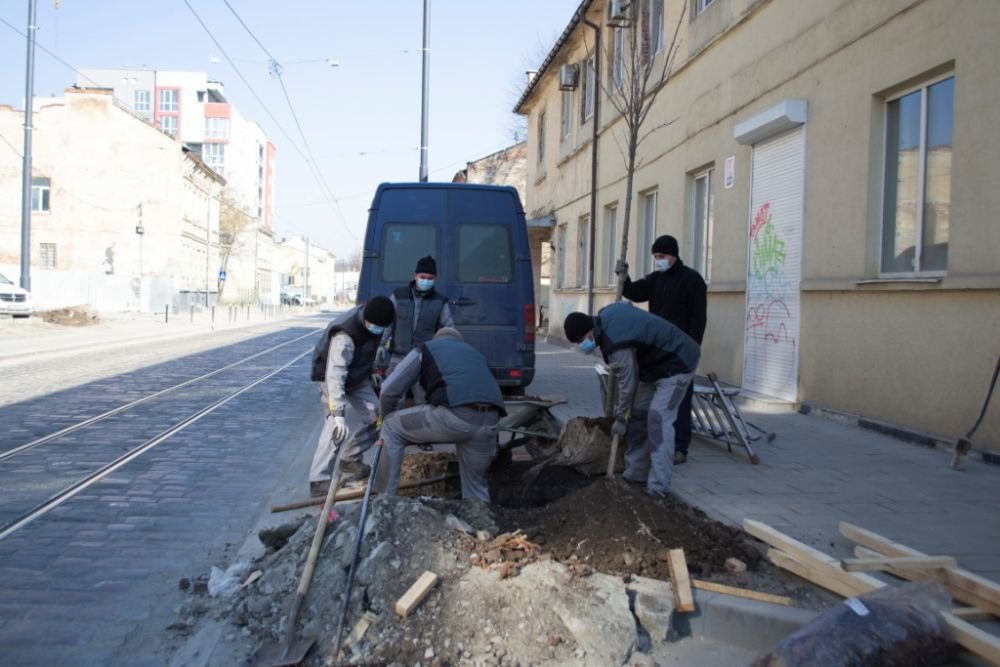 Як у Львові висаджують молоді дерева