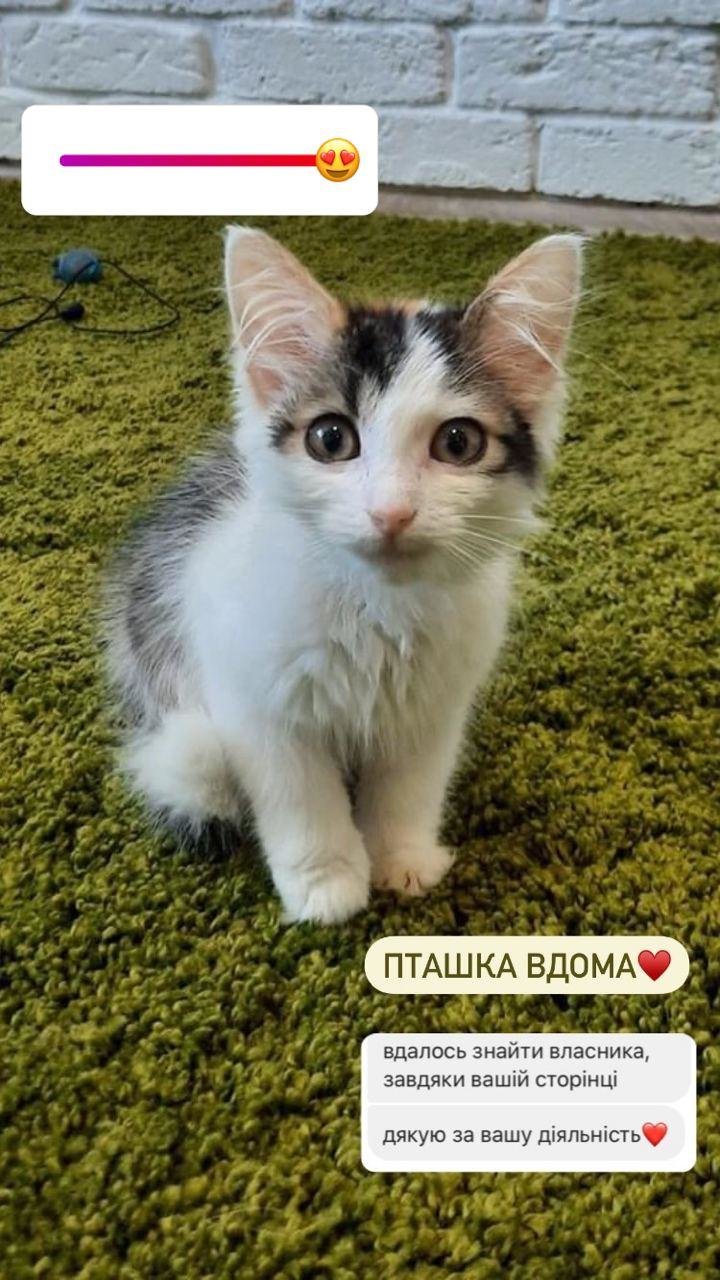 Подяки від господарів тваринок "Львівським лапам" Подяки від господарів тваринок "Львівським лапам"